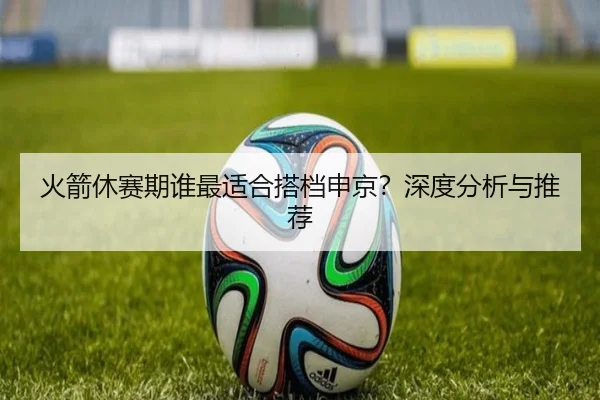 火箭休赛期谁最适合搭档申京？深度分析与推荐