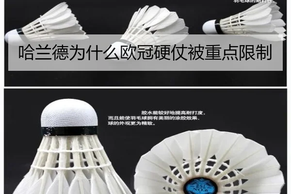 哈兰德为什么欧冠硬仗被重点限制
