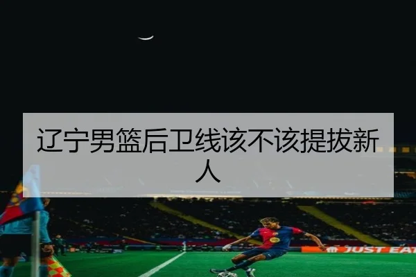 辽宁男篮后卫线该不该提拔新人
